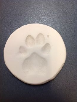 Clay Paw Prints