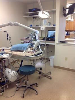 Dental x-rays are performed