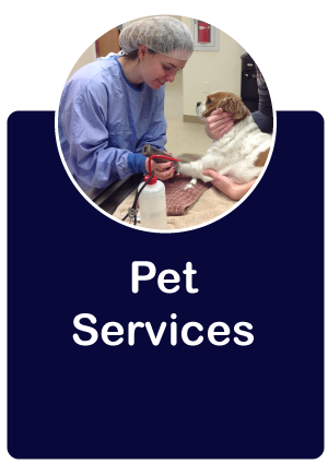 Pet Services