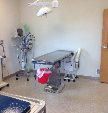 Surgical Suite