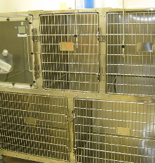 Kennels