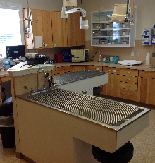 Procedure Area