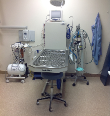 Procedure Area