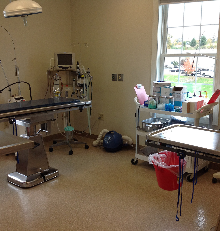 Surgical Suite